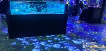 IMG_9504