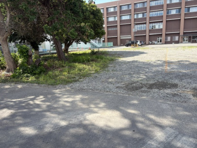 美化作業1